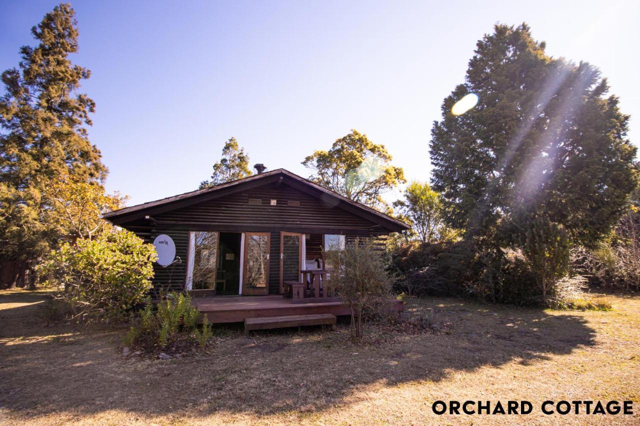 Jaya'S Place Hogsback Extérieur photo