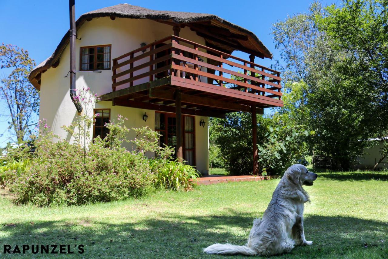 Jaya'S Place Hogsback Extérieur photo